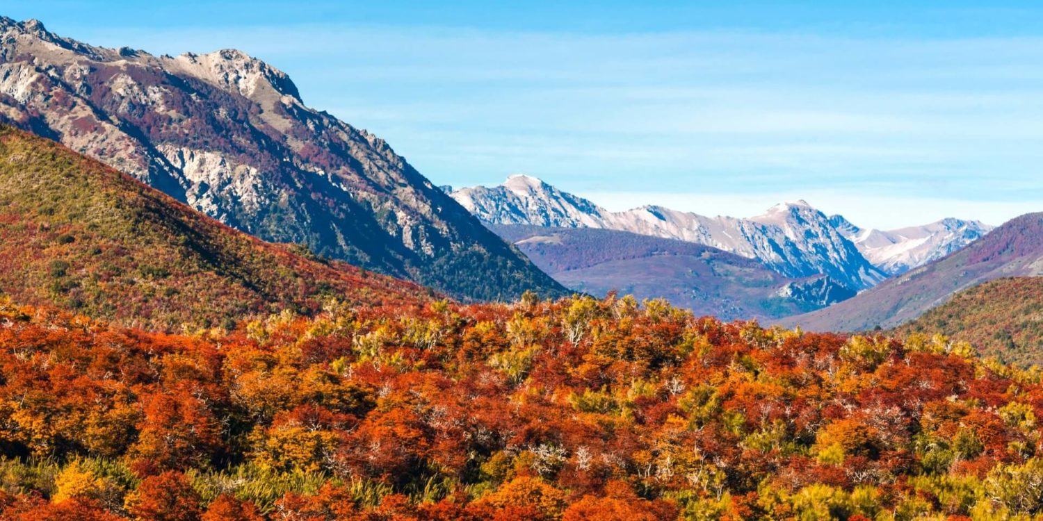 argentina Fitz Roy Mountain El Chalten Patagonia slider