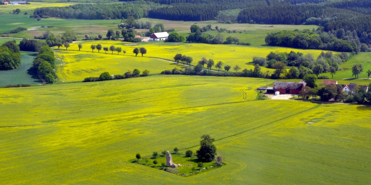 sweden Field slider